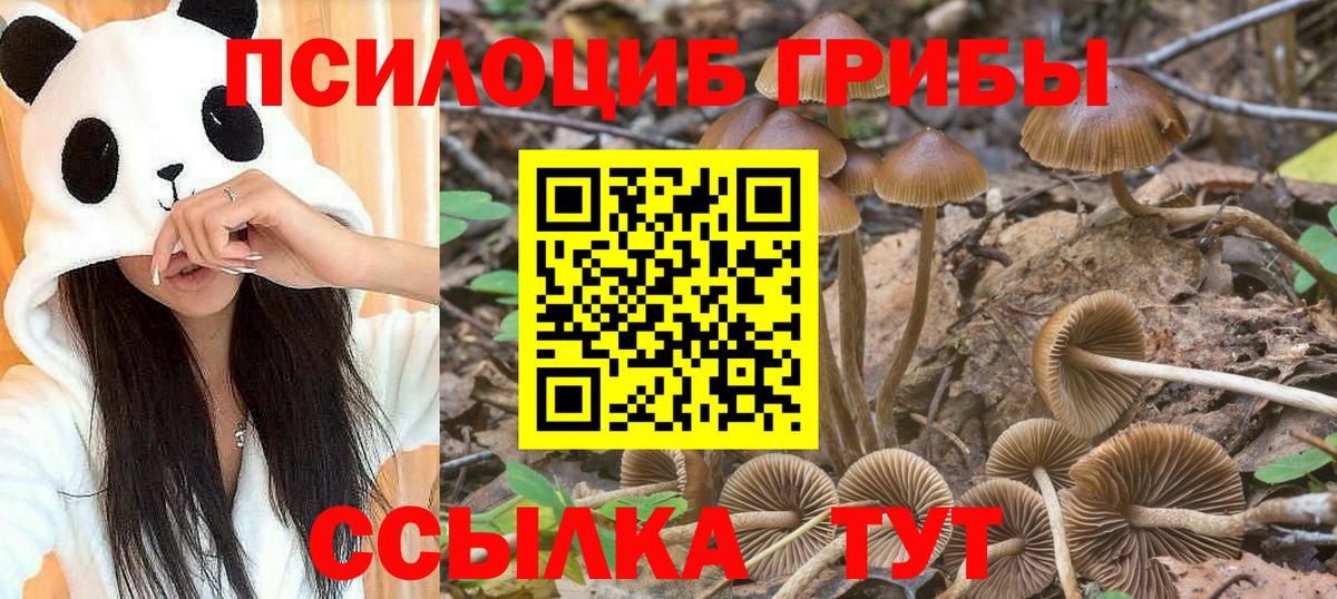 Галлюциногенные грибы мухоморы Кольчугино