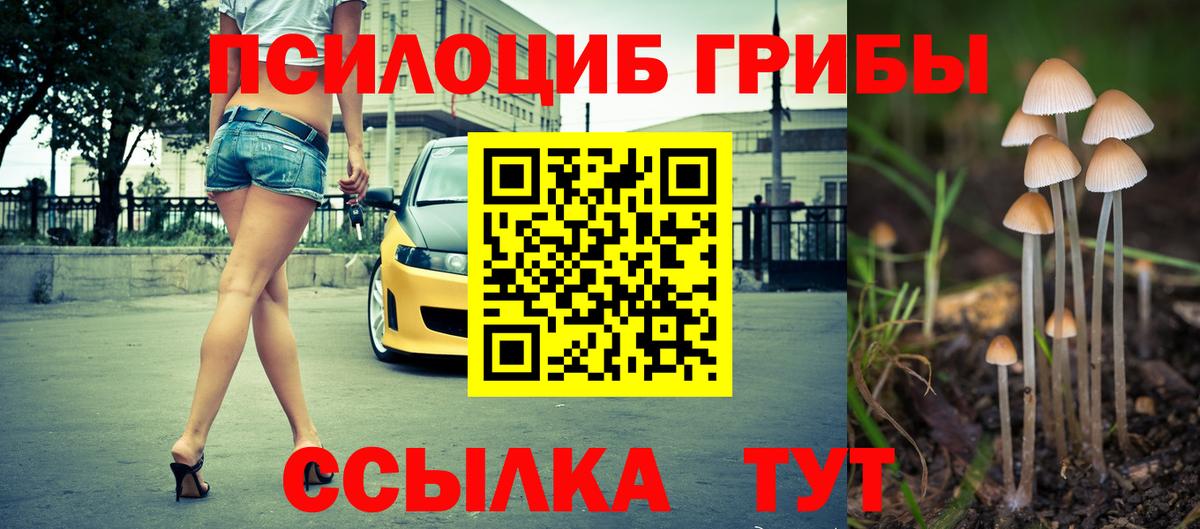 Псилоцибиновые грибы Psilocybe  Галлюциногенные грибы ЛСД  Кольчугино  где купить наркоту  Вход с VPN 